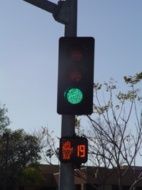 Countdown pedestrian traffic signals